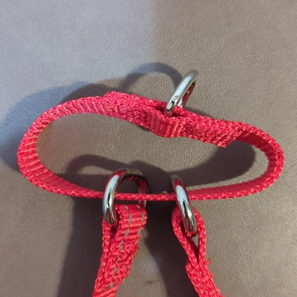 Plutus Pet No Pull Collar Quick Snap Buckle Red Black New XS - Picture 6 of 6